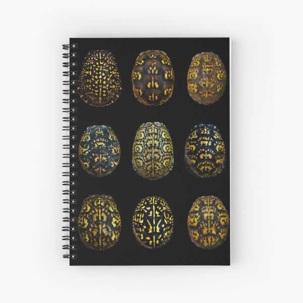 The Beauty of Eastern Box Turtles 2nd Edition Spiral Notebook