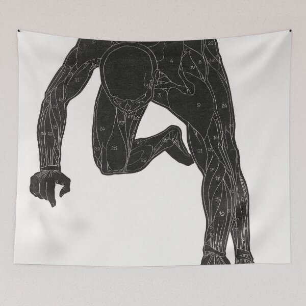 Item preview, Anatomical Study of a Man designed and sold by redoARTstore.
