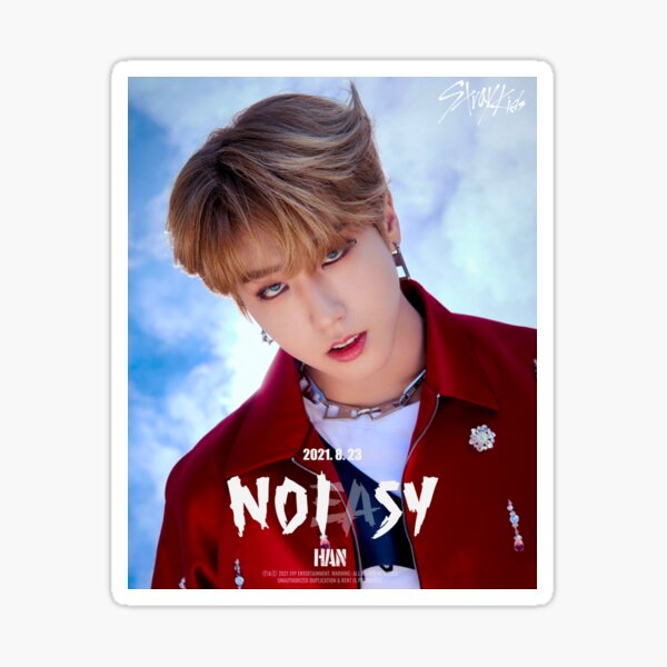 Stray Kids Thunderous 소리꾼 NOEASY Kpop Photocard Stickers 