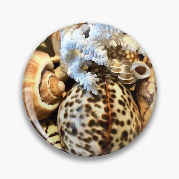 Item preview, Seashells designed and sold by BackgroundND.