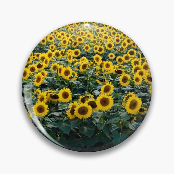 Artikelvorschau, Sonnenblumenfeld Blumen Wisconsin entworfen und verkauft von aaronscottwill.