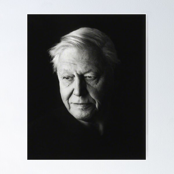 Item preview, david attenborough black and white rip designed and sold by emcazalet.