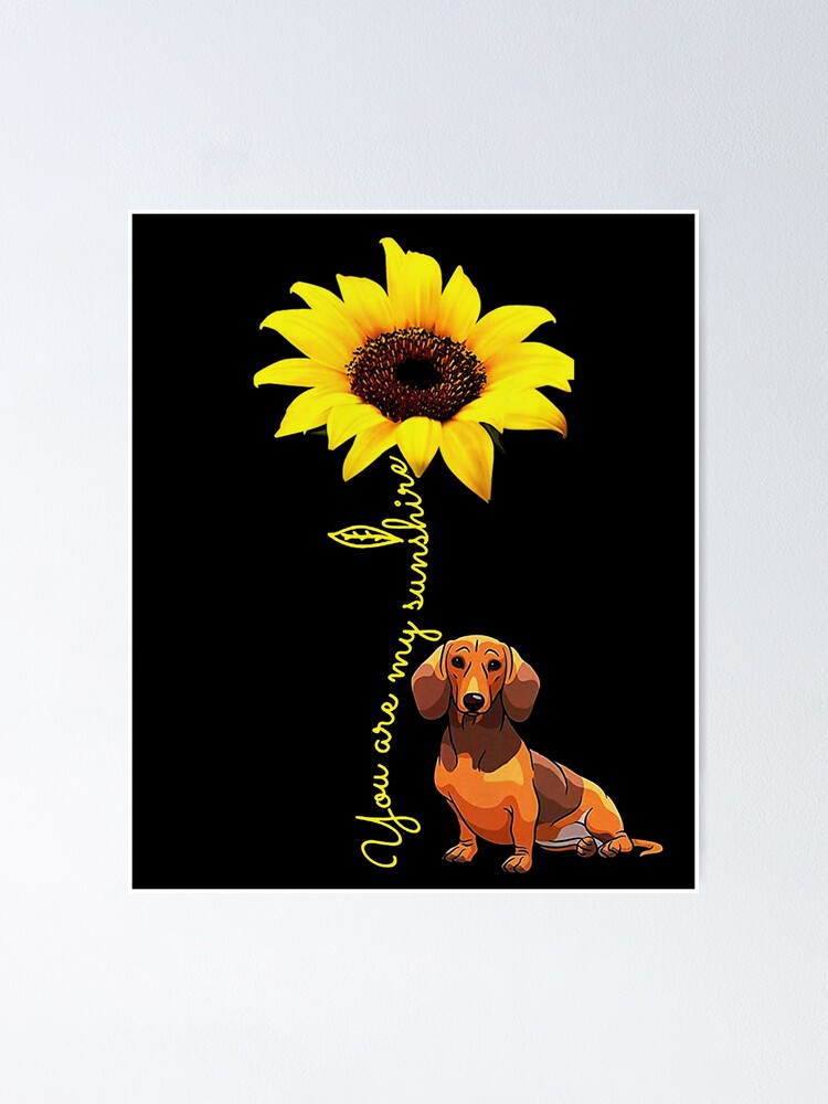 Póster «Perro salchicha de girasol» de coythomas483 | Redbubble