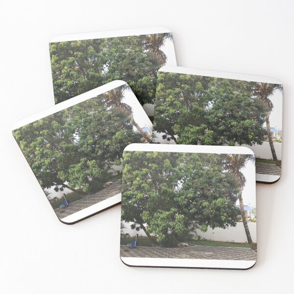 Item preview, Fruit trees designed and sold by Millesheiks.