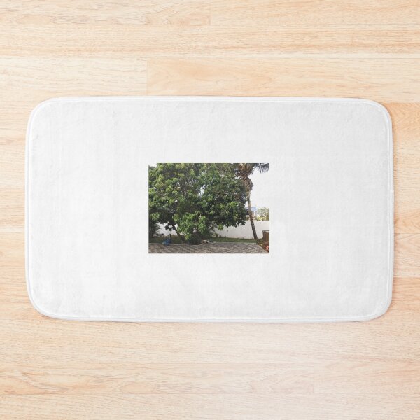 Item preview, Fruit trees designed and sold by Millesheiks.
