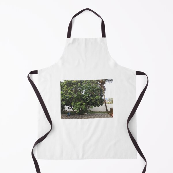 Item preview, Fruit trees designed and sold by Millesheiks.