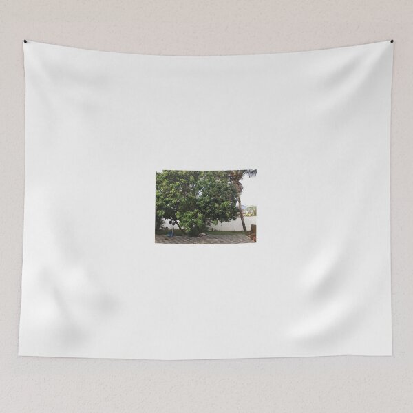 Item preview, Fruit trees designed and sold by Millesheiks.