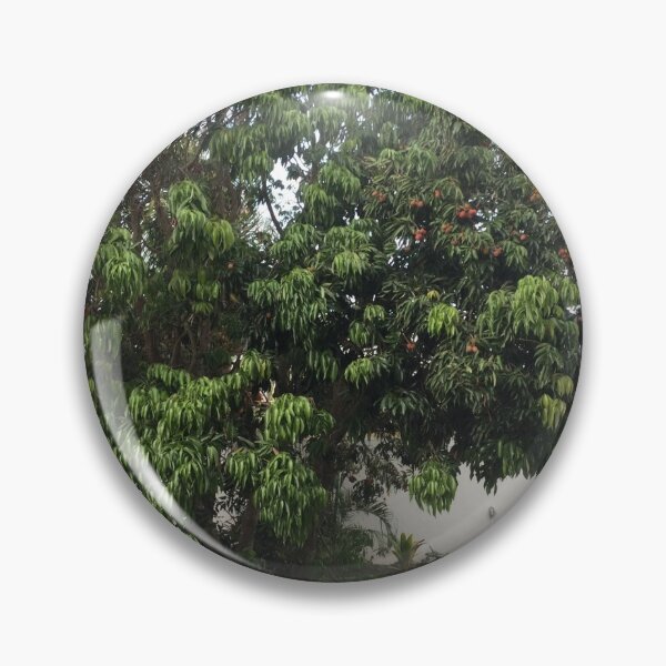 Item preview, Fruit trees designed and sold by Millesheiks.