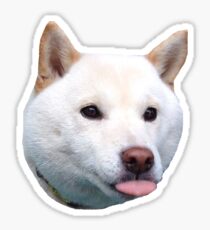 Shiba Tongue v2 Sticker