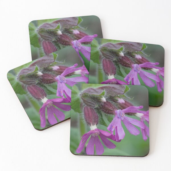 Item preview, English Wild Flowers - Red Campion  designed and sold by Violaman.