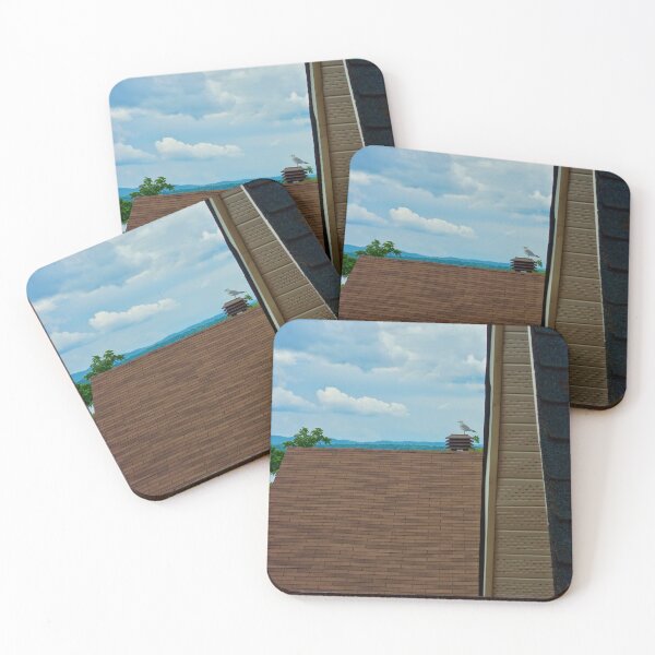 Item preview, VARIOUS TEXTURES AND A SEAGULL designed and sold by bgoddard.