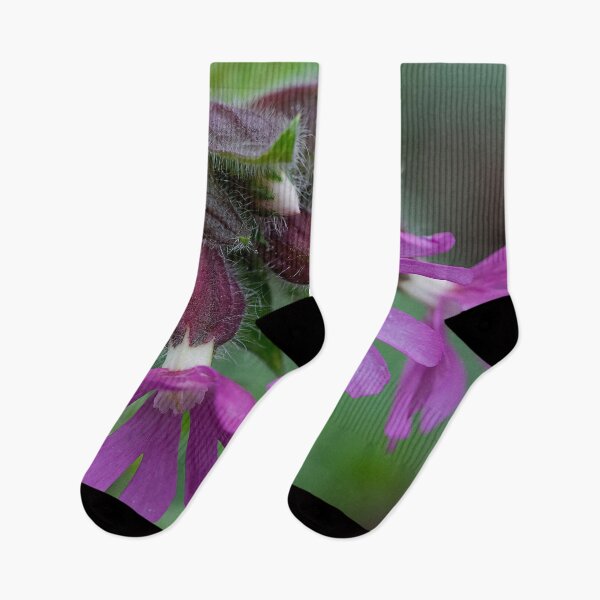 Item preview, English Wild Flowers - Red Campion  designed and sold by Violaman.