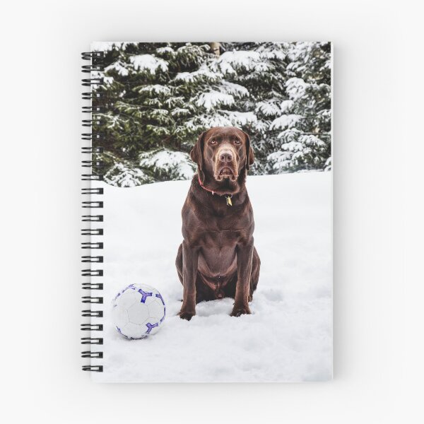 Item preview, Soccer Playing Chocolate Lab designed and sold by Apparel-City.