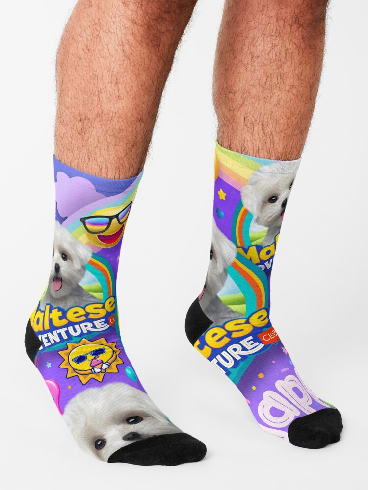 Maltese hotsell dog socks