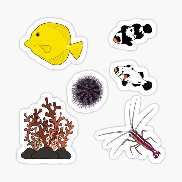 Artikel-Vorschau von Salzwasser-Aquarium-Aufkleber-Pack, designt und verkauft von Hanna M.