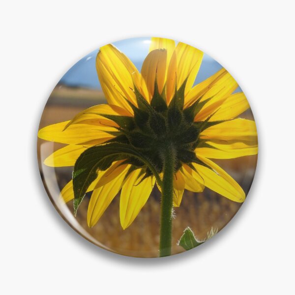 Item preview, Yellow sunflower, fields of sundlfowers,  designed and sold by Stephanie  Skeem.