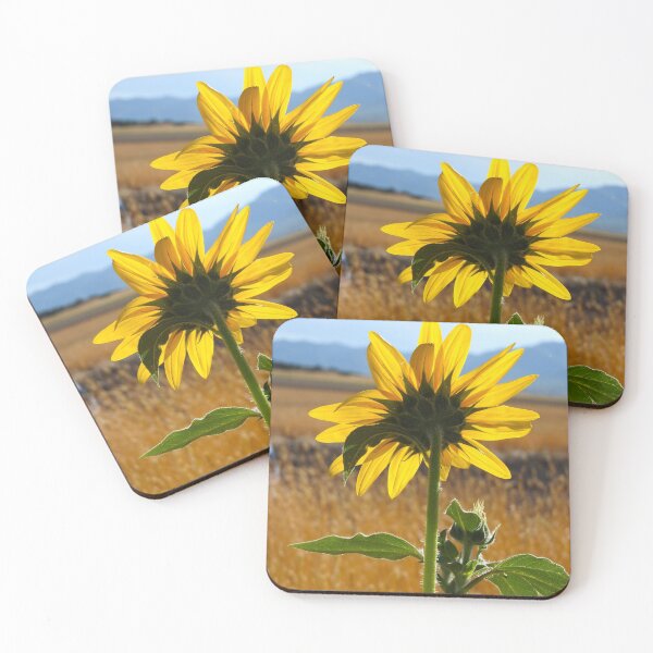 Item preview, Yellow sunflower, fields of sundlfowers,  designed and sold by Stephanie  Skeem.