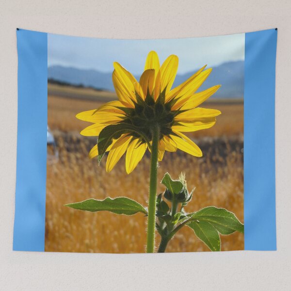 Item preview, Yellow sunflower, fields of sundlfowers,  designed and sold by Stephanie  Skeem.