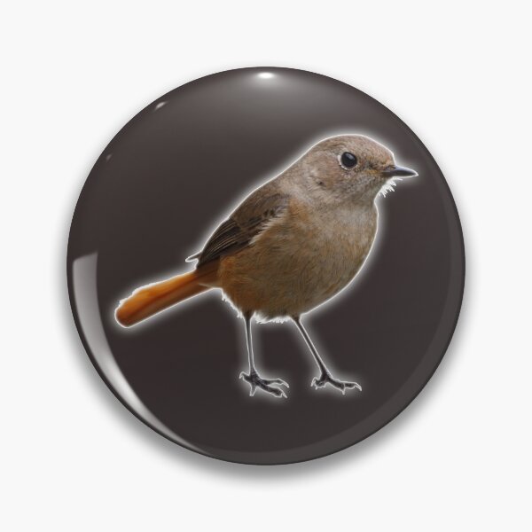 Item preview, An Impudent Brown Bird with an Orange Tail designed and sold by Phantasmal-2-do.