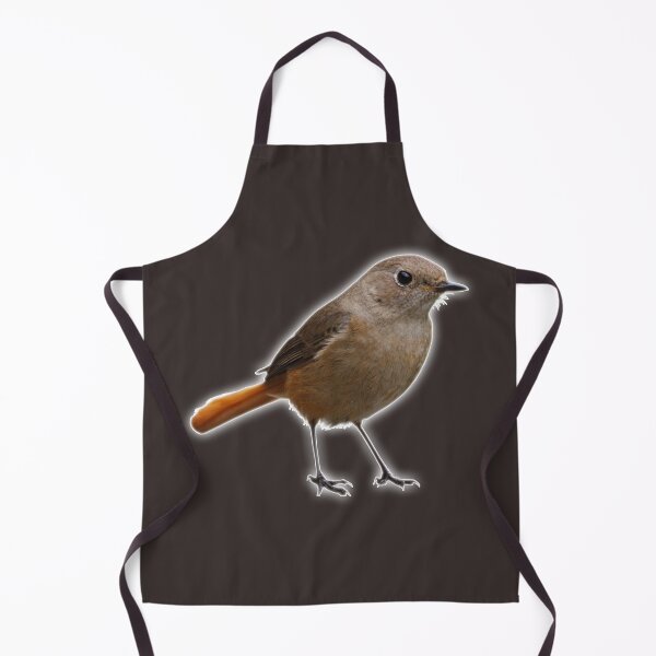 Item preview, An Impudent Brown Bird with an Orange Tail designed and sold by Phantasmal-2-do.