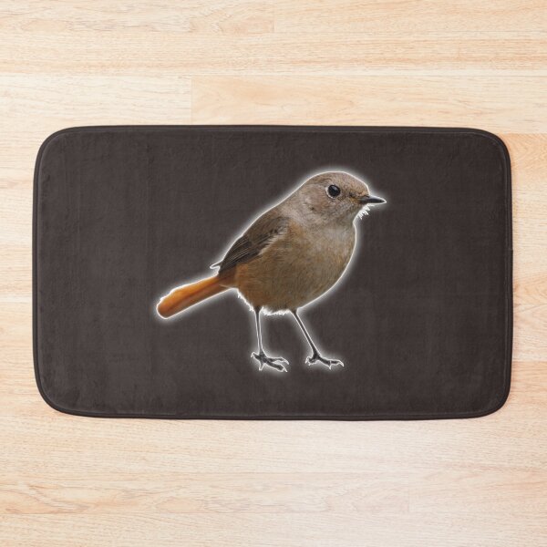 Item preview, An Impudent Brown Bird with an Orange Tail designed and sold by Phantasmal-2-do.