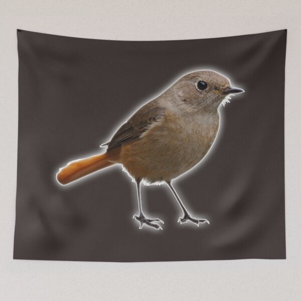 Item preview, An Impudent Brown Bird with an Orange Tail designed and sold by Phantasmal-2-do.