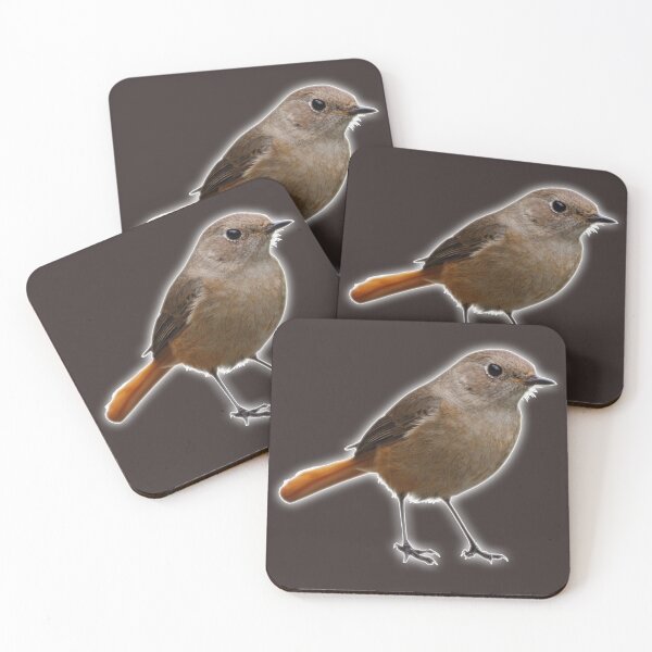 Item preview, An Impudent Brown Bird with an Orange Tail designed and sold by Phantasmal-2-do.