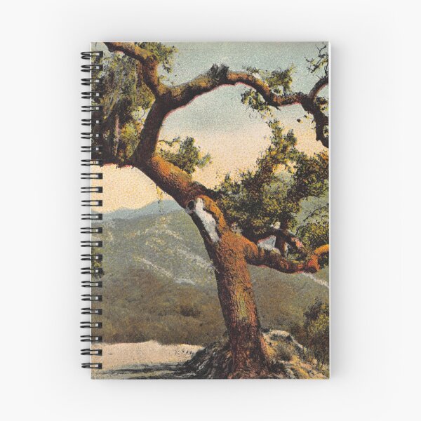 Item preview, The Lone Oak on Mountain Drive, Santa Barbara, CA designed and sold by Veriepear.