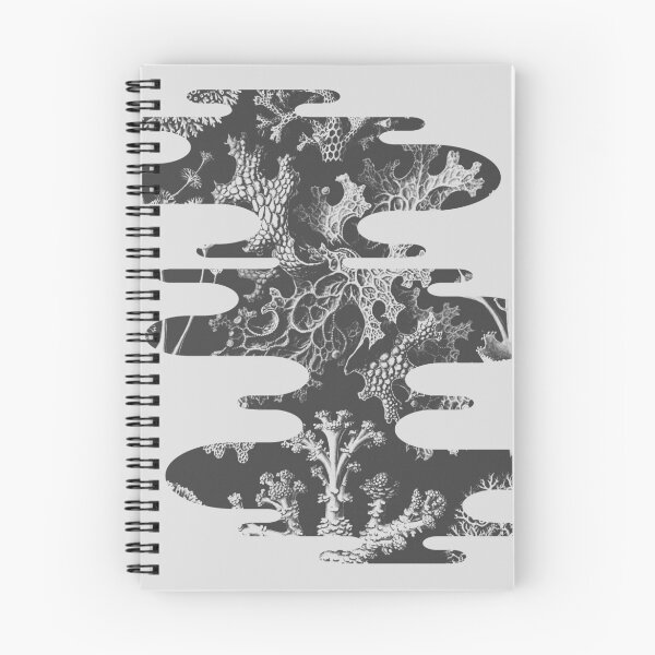 Item preview, Coral Reef designed and sold by Koobi Visual Arts.