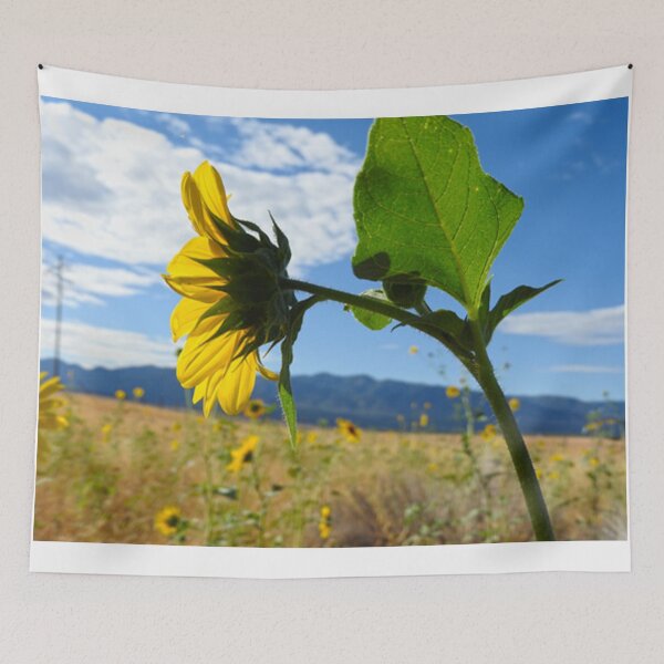 Item preview, field of sunflowers designed and sold by Stephanie  Skeem.