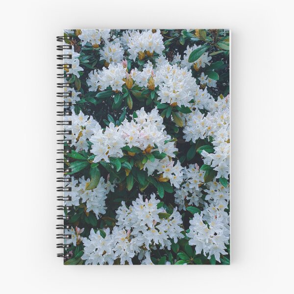 Item preview, Forget about diamonds, Flowers are women best friends. designed and sold by Be-lie-ve.