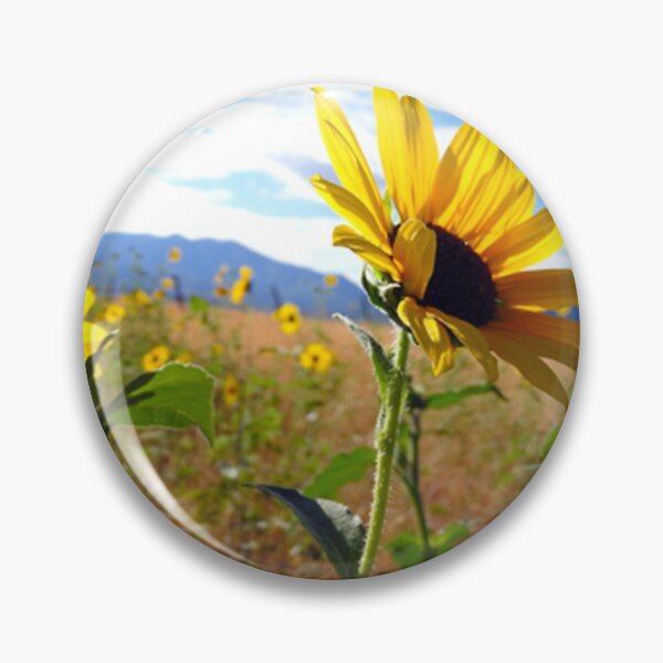 Item preview, sunflower field designed and sold by Stephanie  Skeem.