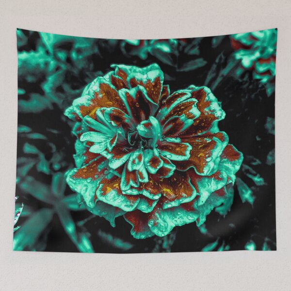 Item preview, Orange Delight designed and sold by TMFCreative.