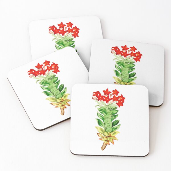 Item preview,  CRASSULA FLOWER designed and sold by MicbellaArt.