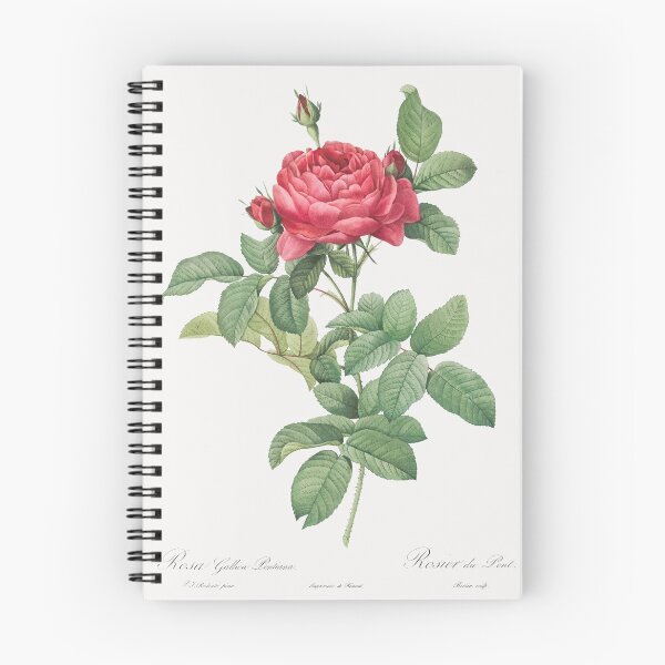 Item preview, Les Roses vintage art piece designed and sold by birdsofthePNW.