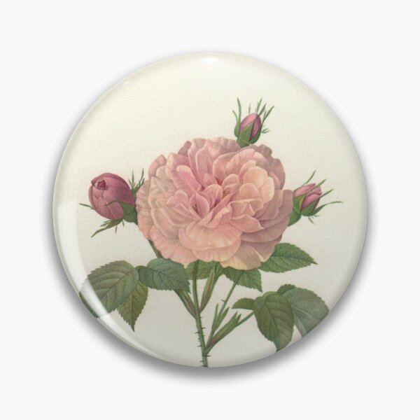 Item preview, Perfect Pink Rose designed and sold by Studio66Designs.
