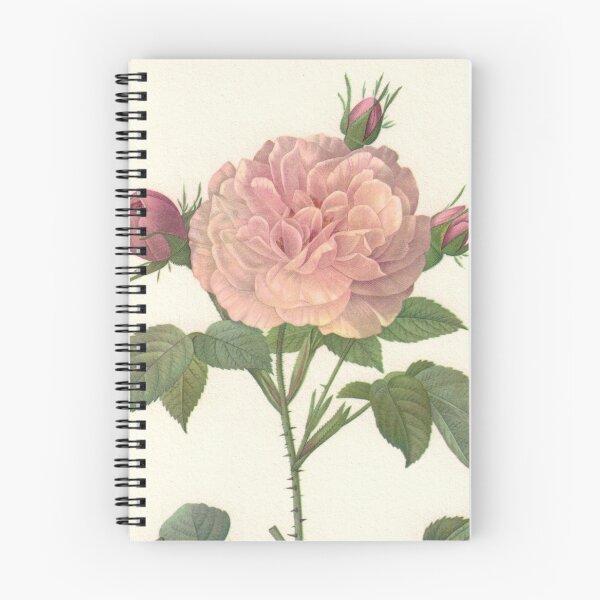 Item preview, Perfect Pink Rose designed and sold by Studio66Designs.