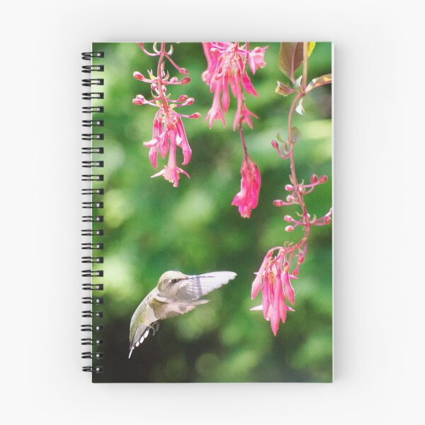 Aperçu de l'œuvre Colibri et Fuchsia créée et vendue par VeganBear.