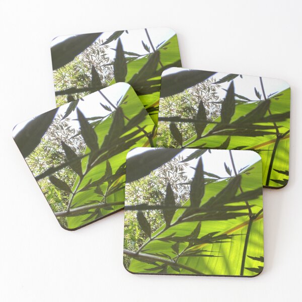 Item preview,  Image of a bright green banana plants leaf,  also the shadow from Elderberry leaves. designed and sold by Lorraine Lashley  - My Joy..