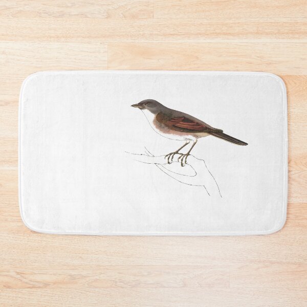 Item preview, Bird Art - common whitethroat - Vintage Print Art designed and sold by Studio66Designs.