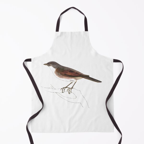 Item preview, Bird Art - common whitethroat - Vintage Print Art designed and sold by Studio66Designs.