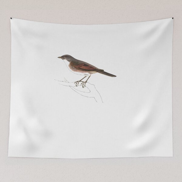 Item preview, Bird Art - common whitethroat - Vintage Print Art designed and sold by Studio66Designs.