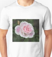 Blushing Pink Iceberg Unisex T-Shirt