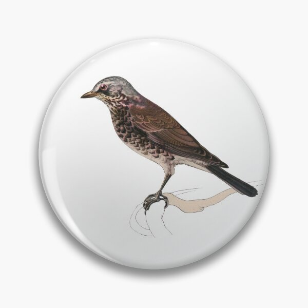 Item preview, Bird Art - fieldfare - Vintage Print Art designed and sold by Studio66Designs.