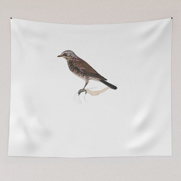 Item preview, Bird Art - fieldfare - Vintage Print Art designed and sold by Studio66Designs.
