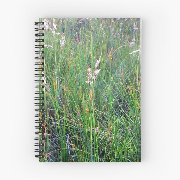 Item preview, Spring grasses designed and sold by Penny Alexander.