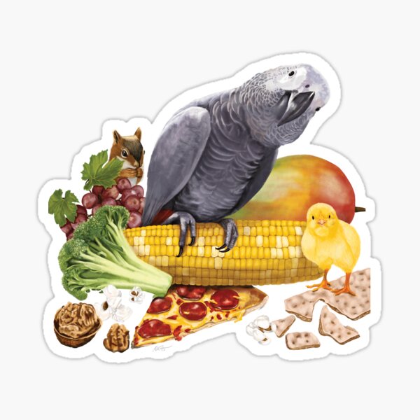 Einstein's Favorite Things Sticker