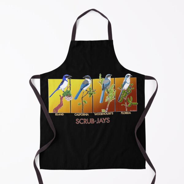 Item preview, Scrub-Jays designed and sold by BennuBirdy.