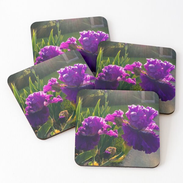 Item preview, Purple Irises in Austin designed and sold by Cat Calhoun.