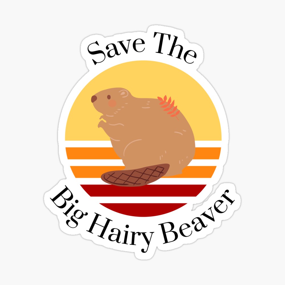 Hairy Beavers